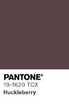 10966 pantone color chip 19 1620 tcx