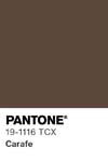 10968 pantone color chip 19 1116 tcx