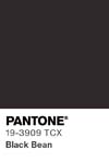 10969 pantone color chip 19 3909 tcx