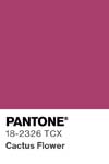 10970 pantone color chip 18 2326 tcx