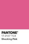 10972 pantone color chip 17 2127 tcx