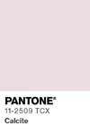 10975 pantone color chip 11 2509 tcx