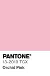 10977 pantone color chip 13 2010 tcx