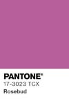 10983 pantone color chip 17 3023 tcx