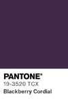 10988 pantone color chip 19 3520 tcx