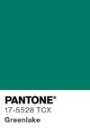 10994 pantone color chip 17 5528 tcx