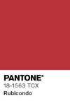 10998 pantone color chip 18 1563 tcx