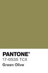 11288 pantone color chip 17 0535 tcx