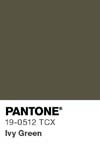 11290 pantone color chip 19 0512 tcx