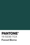11294 pantone color chip 19 5230 tcx