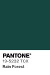 11295 pantone color chip 19 5232 tcx