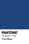 11299 pantone color chip 19 4057 tcx