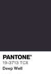 11304 pantone color chip 19 3713 tcx