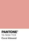 13436 pantone color chip 16 1434 tcx