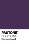 13438 pantone color chip 19 3640 tcx