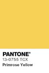 13439 pantone color chip 13 0755 tcx