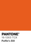 13440 pantone color chip 16 1363 tcx
