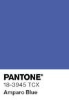 13445 pantone color chip 18 3945 tcx