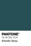 13449 pantone color chip 19 4726 tcx