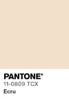 2004 pantone color chip 11 0809 tcx