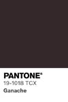 2009 pantone color chip 19 1018 tcx