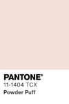 2014 pantone color chip 11 1404 tcx
