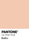 2015 pantone color chip 13 1114 tcx