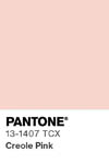 2017 pantone color chip 13 1407 tcx