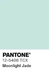 2031 pantone color chip 12 5408 tcx