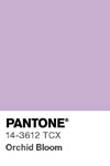 2039 pantone color chip 14 3612 tcx