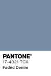2048 pantone color chip 17 4021 tcx