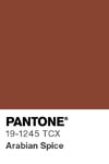 2055 pantone color chip 19 1245 tcx