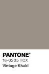 2062 pantone color chip 16 0205 tcx