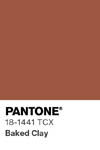 2064 pantone color chip 18 1441 tcx