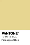 2069 pantone color chip 12 0718 tcx