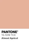 2071 pantone color chip 15 1319 tcx