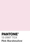 2075 pantone color chip 12 2907 tcx