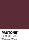 2080 pantone color chip 19 1528 tcx