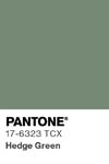 2092 pantone color chip 17 6323 tcx