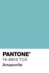 2096 pantone color chip 14 4818 tcx