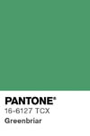 2097 pantone color chip 16 6127 tcx