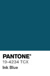 2099 pantone color chip 19 4234 tcx