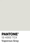 2101 pantone color chip 12 4302 tcx