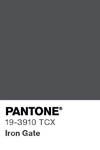 2104 pantone color chip 19 3910 tcx