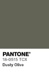 2106 pantone color chip 18 0515 tcx