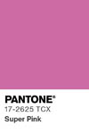 2111 pantone color chip 17 2625 tcx