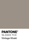 2113 pantone color chip 16 0205 tcx