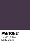 2117 pantone color chip 19 3712 tcx