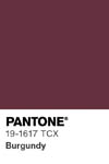 2119 pantone color chip 19 1617 tcx