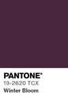 2123 pantone color chip 19 2620 tcx